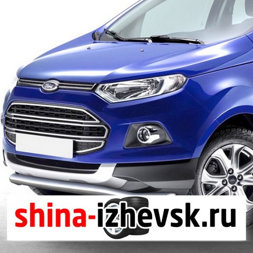 Защита переднего бампера Rival для Ford Ecosport 2014- (R.1805.001) d57 волна в Ижевске